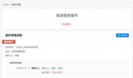 免费爆料视频大全下载网站,海量资源一网打尽