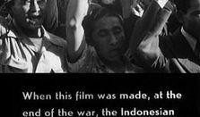 印尼当地人爆料视频播放,印尼当地人爆料视频引发热议