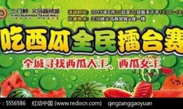 娱乐吃瓜模板下载安装,揭秘明星幕后故事，带你领略明星们的真实生活